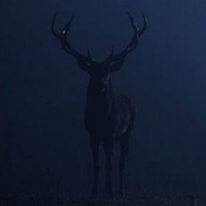 BLUE IS THE NEW BLACK