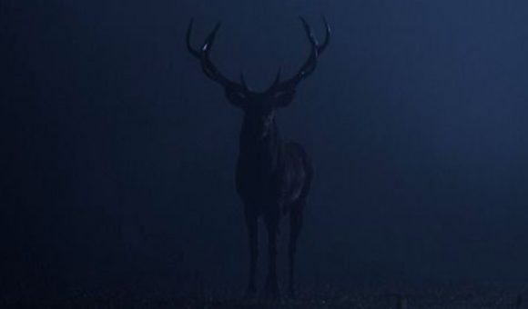 BLUE IS THE NEW BLACK