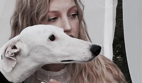 Nel bosco incantato…